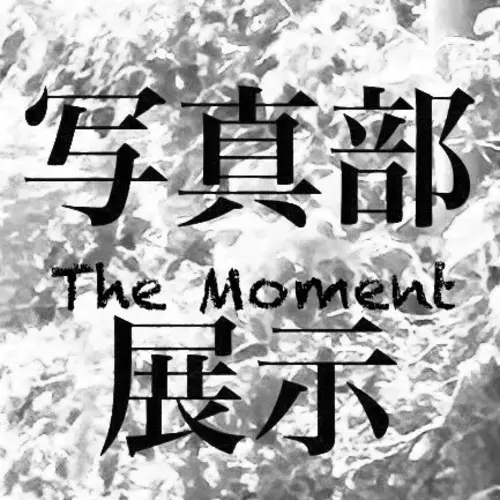 The Momentの画像